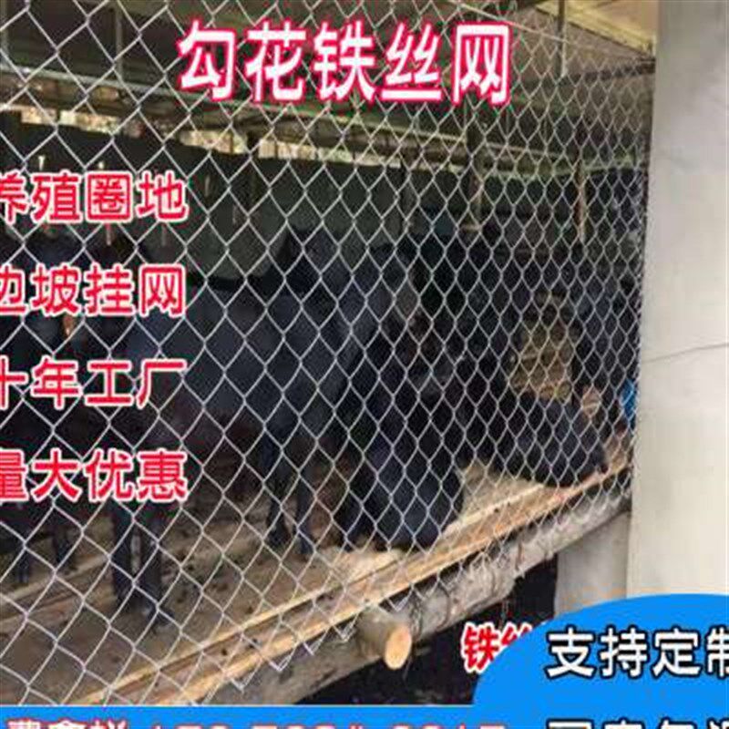 新款热镀锌钢丝网勾花网围栏养殖护栏网牛羊猪狗菱形不锈防护围网