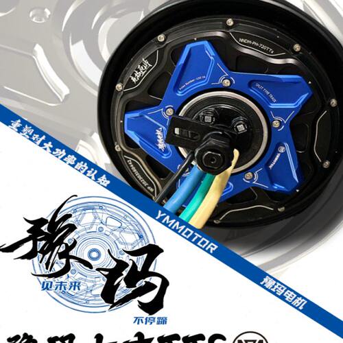 豫玛六代10寸瓦片竞技版高转速电动车电机非全顺200TTS-1199TTS
