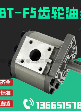 CBT-F520 F525 F532 F540 F550 F563 F580-BFPR BFHL液压齿轮油泵