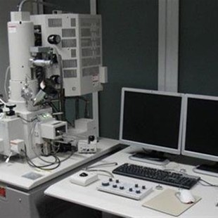 FEI 450 PEG 扫描电镜测试制样 SEM 4800 Nano 430