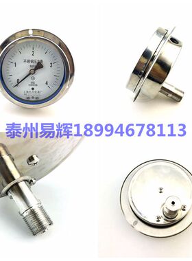 Y100BFZT全不锈钢轴向带边压力表Y-100ZT BF 0-0.6,1,1.6,2.5,MPA