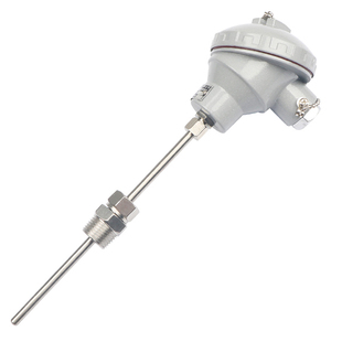 A级 双支六线制 L=5 pt100热电阻 卡套M20 325 150mm 1.5 WZPK2