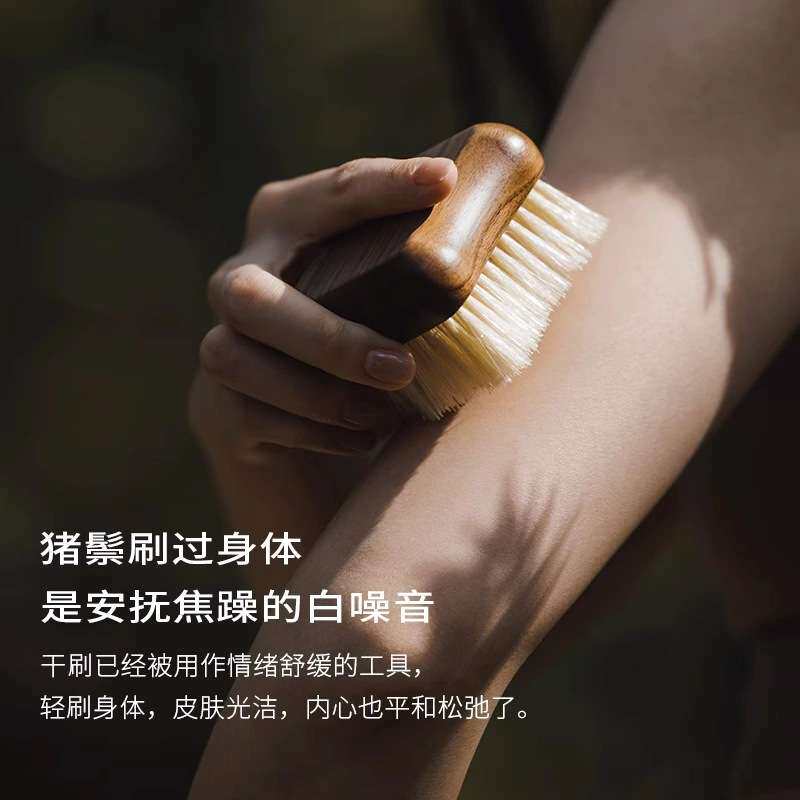 猪鬃刷乌檀木身体刷沐浴刷磨砂膏刷干背刷搓背软毛梳其他