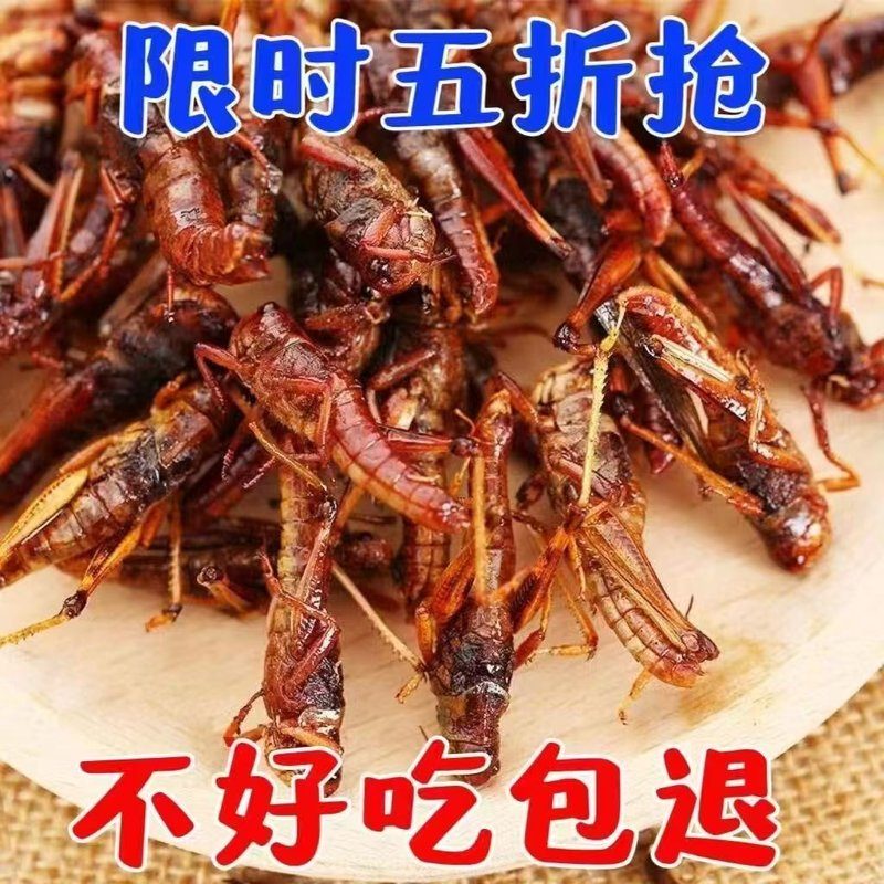 品质好货【价】山东特产新鲜油炸蚂蚱五香即食香辣蚱蜢支持试吃