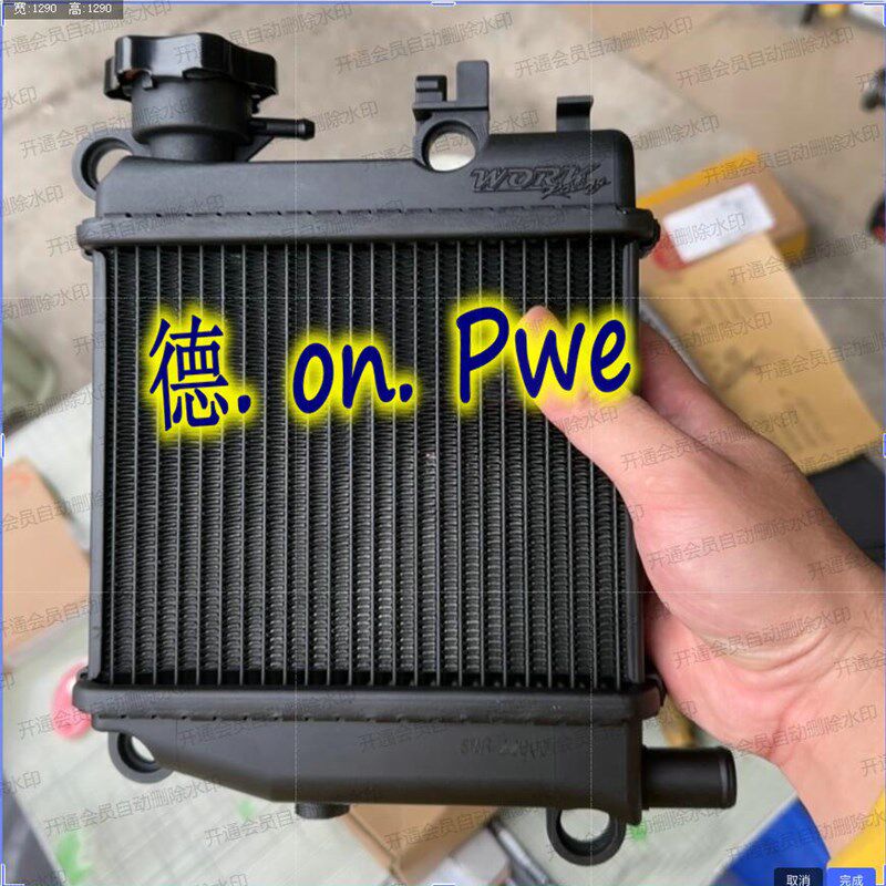 台湾WORK RACING 哈士奇 DRG 曼巴MMBCU 改装加大水箱 冷却水冷排