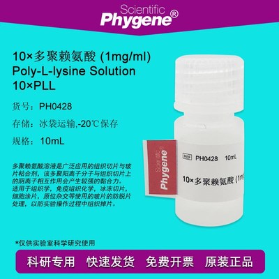 10多聚赖氨酸 1mg/mL 玻片粘合剂10mL [PH0428 PHYGENE]