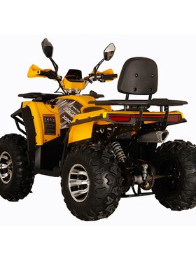 全新 ATV 四冲程四冲程汽油 110cc 农用摩托车越野四轮 (SL110X2)