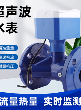 智能超音波水表 单双声道NB无线远传农田灌溉给水流量计DN65/100