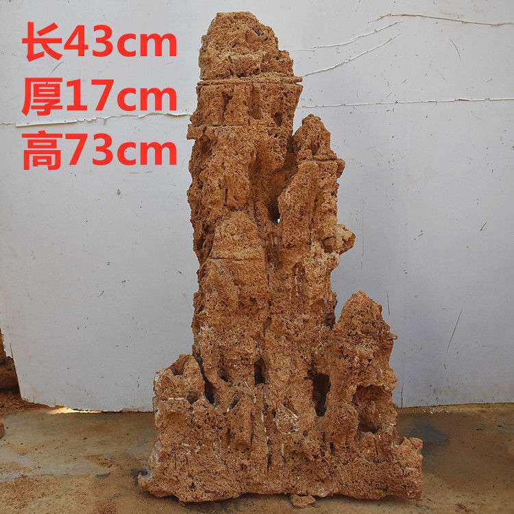 吸水石植物盆景上水石假山原石奇石庭院景观石水秀石鱼缸造景