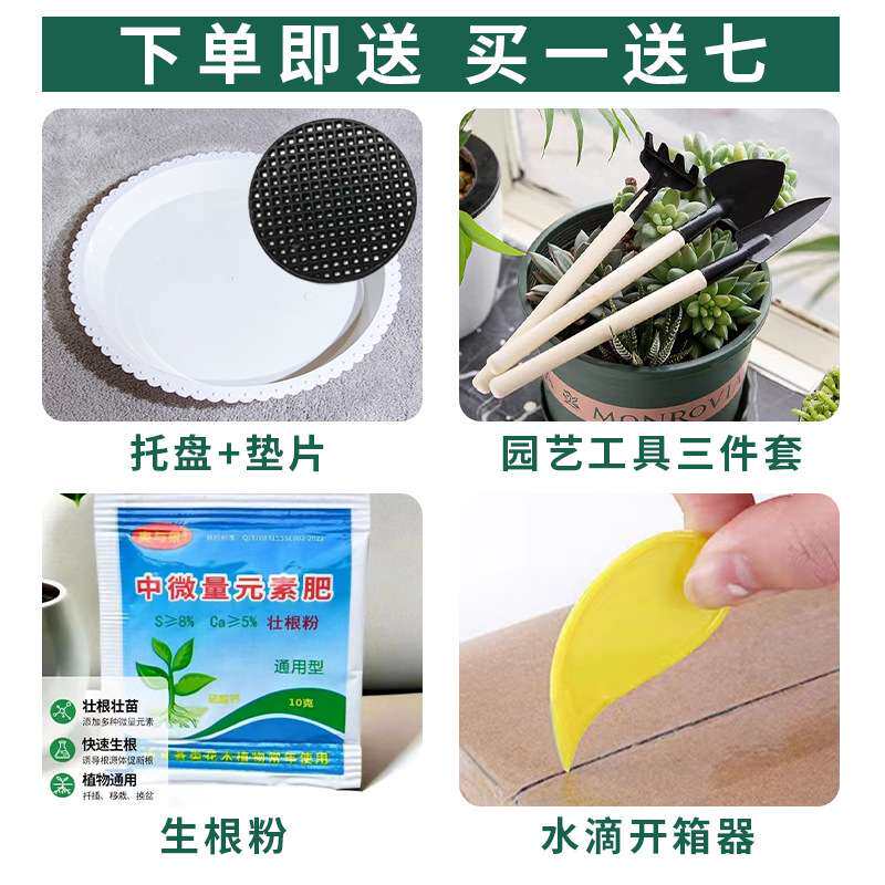 网红款室内外通用北欧风陶瓷大号特大号花盘发财树幸福树绿植盆