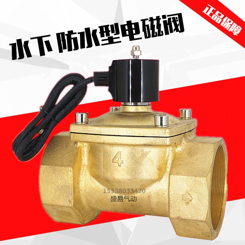 水下喷泉跳泉 4寸防水电磁阀水阀开关阀 DN100 气阀AC220V DC24V