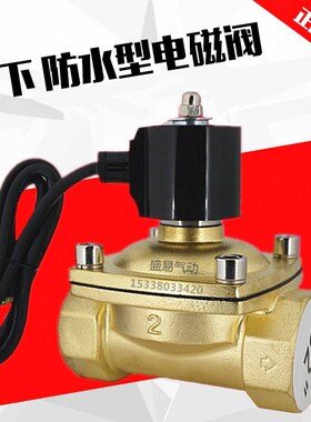 水下喷泉跳泉 2寸防水电磁阀水阀开关阀 DN50 气阀 AC220V DC24V