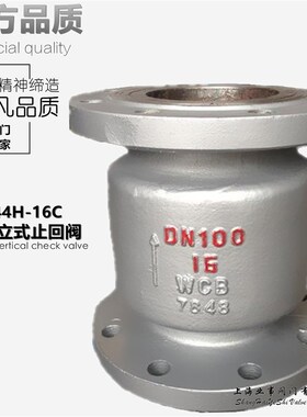 H42H-16C锅炉蒸汽水管水泵防倒流铸钢法兰立式止回阀单向阀逆止阀