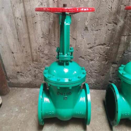 巨龙阀门优质供应 衬胶闸阀 Z41J-10C 衬氟法兰闸阀