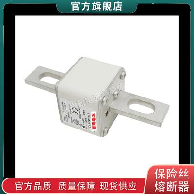 170M4608 4609 4610 4611 4612 巴斯曼bussmann快速熔断器保险丝