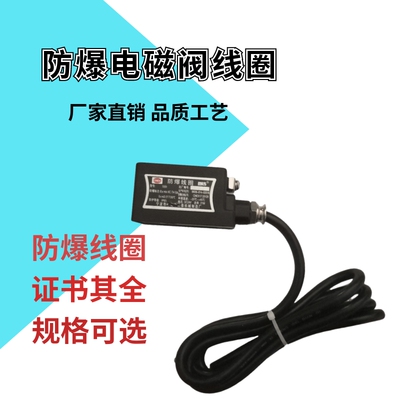 防爆电磁阀线圈0920 1320 0921 1321 0980 0981 EX09301