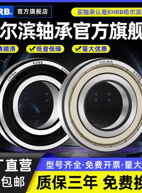 哈尔滨免维护轴承型号大全6306电机6307 6308 6309 6310 6311RS