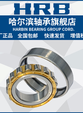 HRB 哈尔滨轴承 NN 3006 3007 3008 3009 K/W33 P5 P4 圆柱滚子