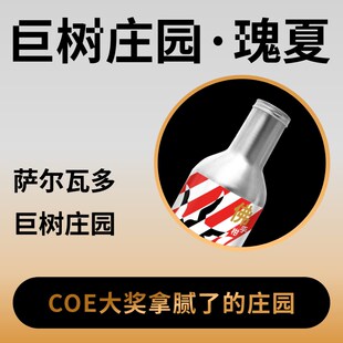 捌比特萨尔瓦多巨树庄园瑰夏水洗浅烘精品手冲咖啡豆100g
