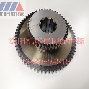 齿轮 2172 2173 沈阳数控机床配件 Z61 CAK6180 Z41 磨齿 CAK6163