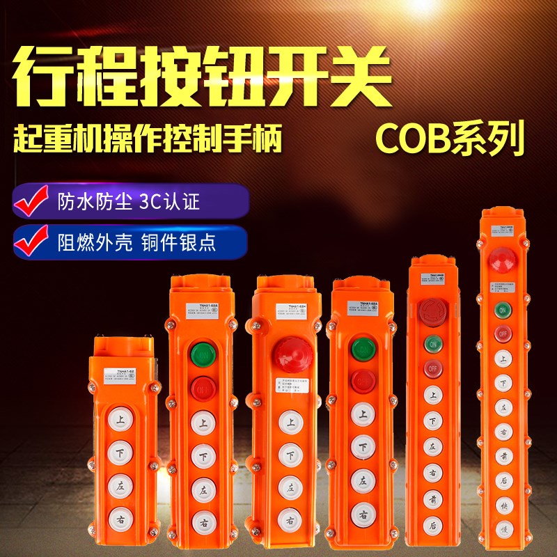 行车按钮开关COB-61 62 63 64 65 A BH防水起重控制盒电葫芦TNHA1