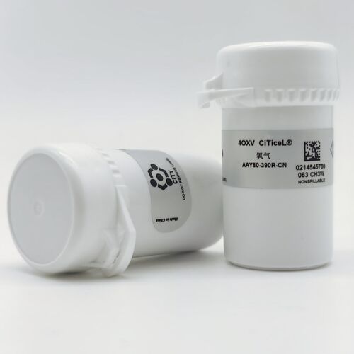 英国CITY 氧气传感器 4OXV 4OX-V 4OXV 40XV AAY80-390R-CN氧探头