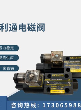 电磁阀DSG022B2 2B2B 2B3B 2B4B 2B60BLDL AC220V DC24V AC110