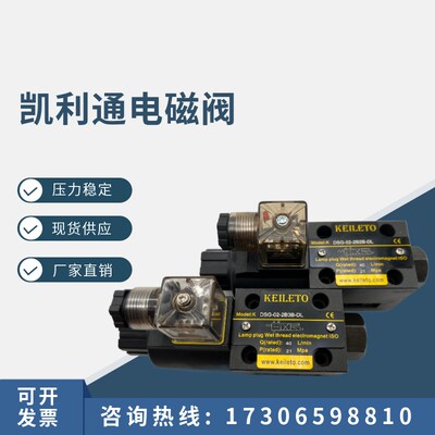 电磁阀DSG022B2 2B2B 2B3B 2B4B 2B60BLDL AC220V DC24V AC110