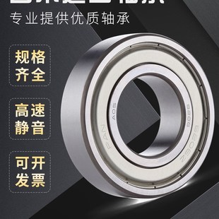 6202 6203 6204 日本耐高温进口轴承 6201 6205 DDU轴承 6200