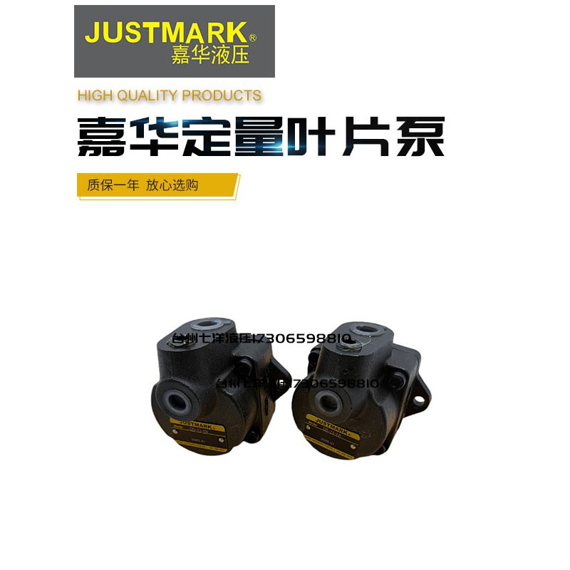 JUSTMARK台湾嘉华DS12FR定量叶片泵DS13FR DS14FR DS11FR