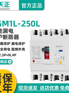 天正 TGM1L-250L/4300B 250A塑壳漏电保护断路器空气开关200A160A