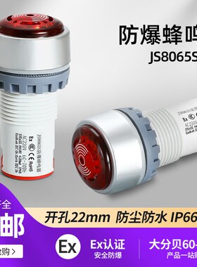 JS8065S防爆防尘防水IP66闪光蜂鸣器声光报警灯器24V220V开孔22mm