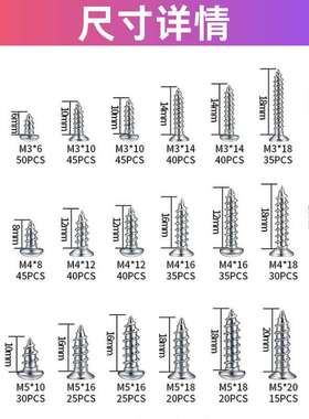 815pcs 304不锈钢 公制十字槽自攻螺钉组合套装 M3 M4 M5 M6