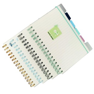 透明外壳笔记本分类分层带标签索引好看的本子a5记事本分页线圈本