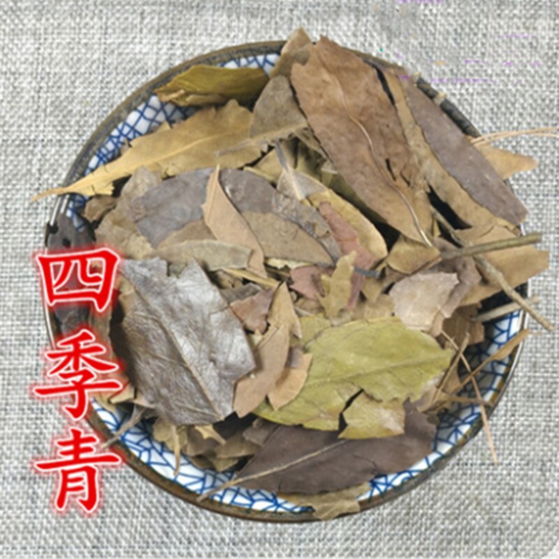 中药材 红冬青叶 四季青叶 500g克 碎