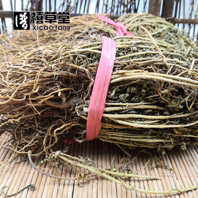 中药材四川青鱼胆草500克统