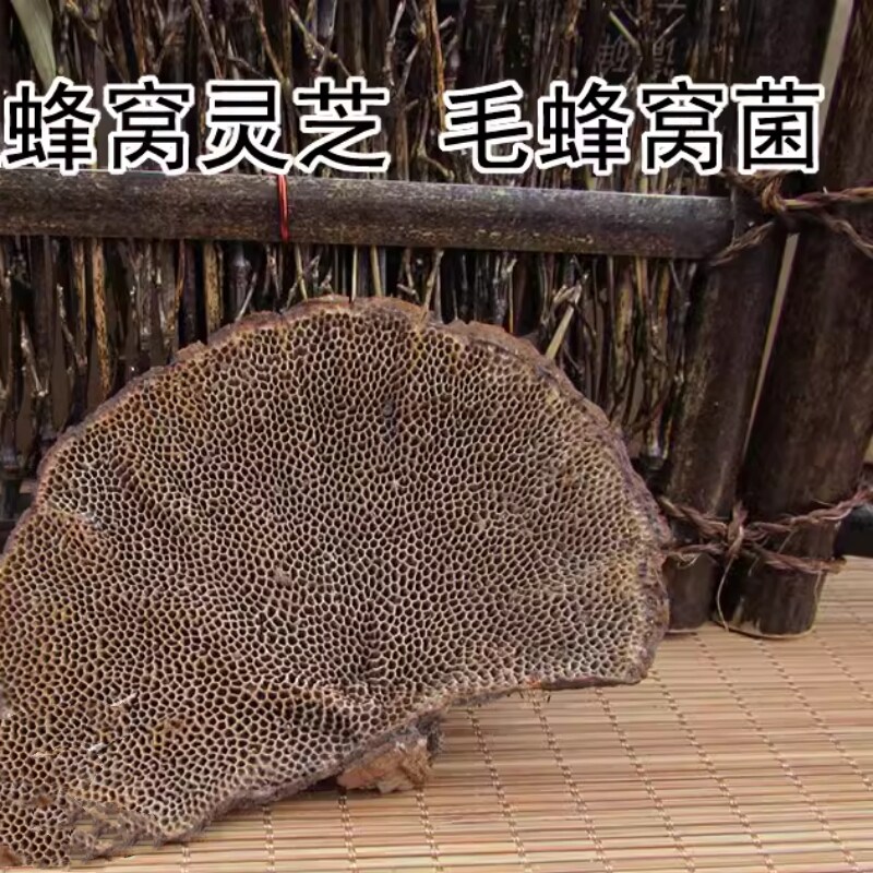中药材 蜂窝灵芝 毛蜂窝菌 500g克 非整个
