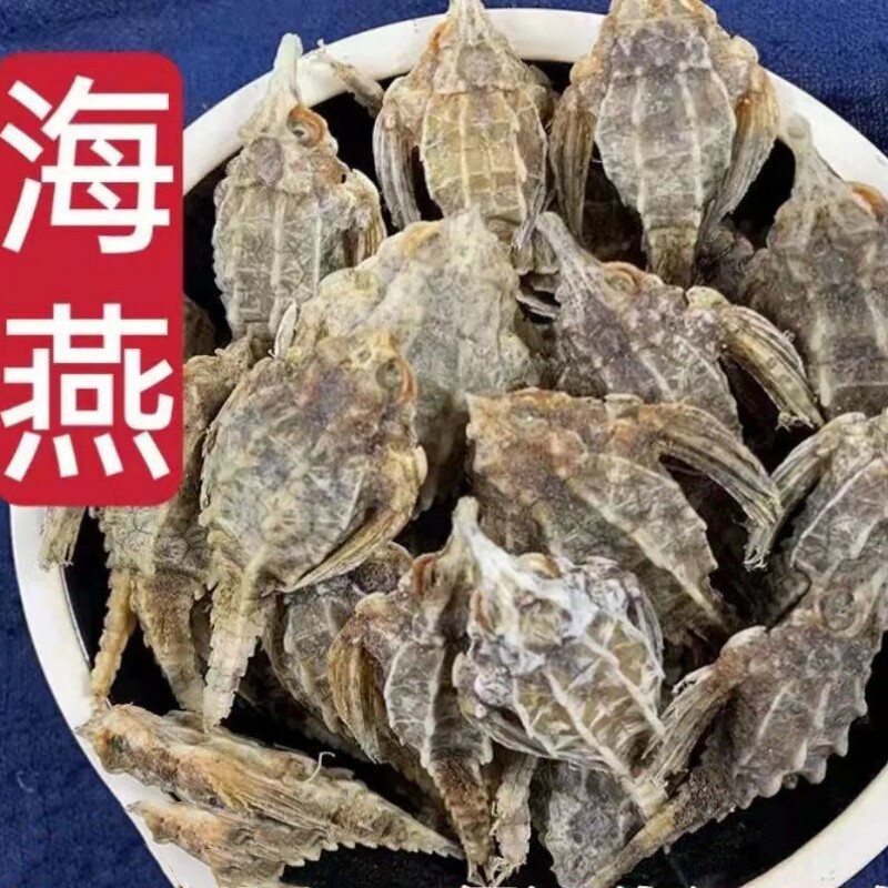 中药材 海燕子 泡酒煲汤 可搭配海麻雀海星 50g克 约30只 干货