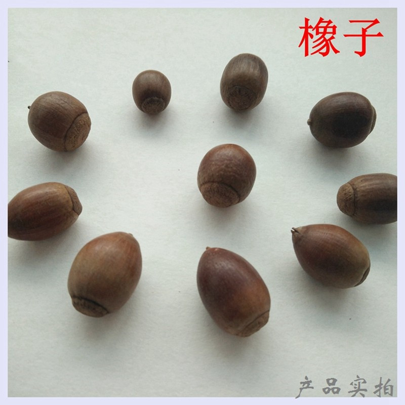 中药材  橡子  橡籽  橡实  栎树果  橡果  500g克  小个