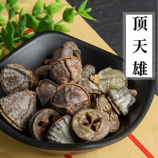 中药材 顶天雄 顶天熊 云南苗家特产 可搭配顶天柱 500g克 统