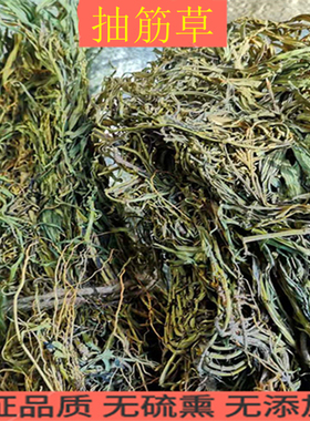 中药材 抽筋草 石生繁缕 接筋草 箐姑草 石灰草 500g克 统