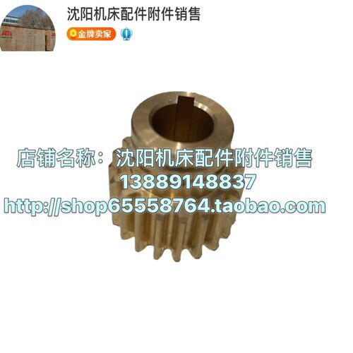 大连沈阳兰州安阳机床CW6163 CW6180快速电机轮 Z20 6091/6135