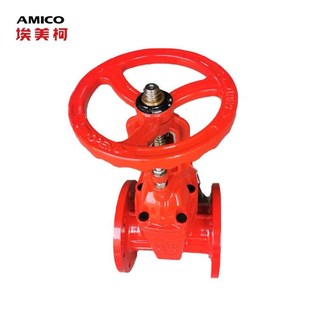 埃美柯9150铸铁法兰明杆座封软密封闸阀 Dn50-300 Z41X-16Q