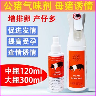 公猪气味剂母猪用诱情剂养殖场种猪诱导发情喷雾配种刺激发情粉