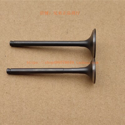 新大洲本田配件SDH125T-35-36-38国四DIO U+EX125NS125D进排气门