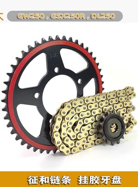 铃木GW250升级版静音牙盘GSX250/DL250征和HO/HX/UX/SX2油封链条