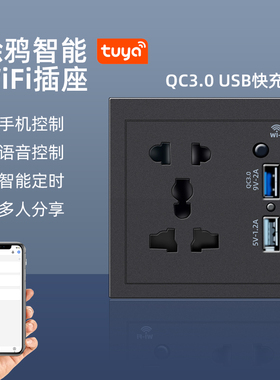 涂鸦wifi智能墙壁插座USB快充安全手机远程控制开关定时小爱声控