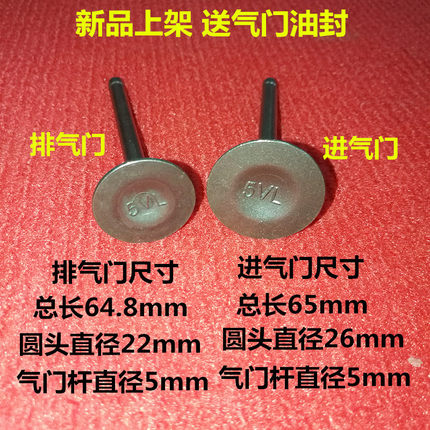 山叶天剑125 YBR125建设YAMAHA天戟 天骐JYM125-2-3进排气门