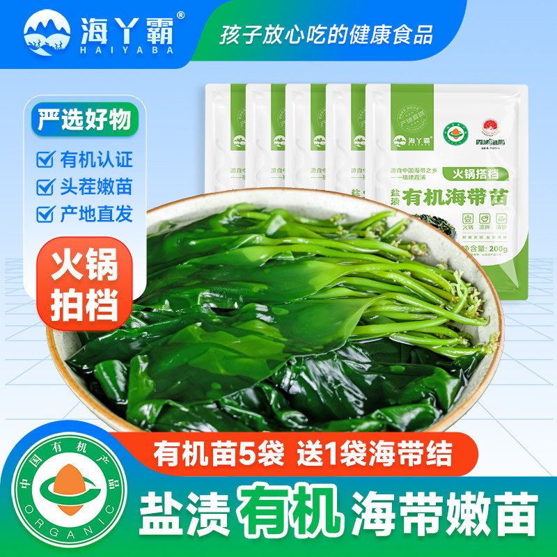 海丫霸有机海带苗嫩新鲜盐渍海带嫩苗非特级凉拌火锅食材霞浦特产