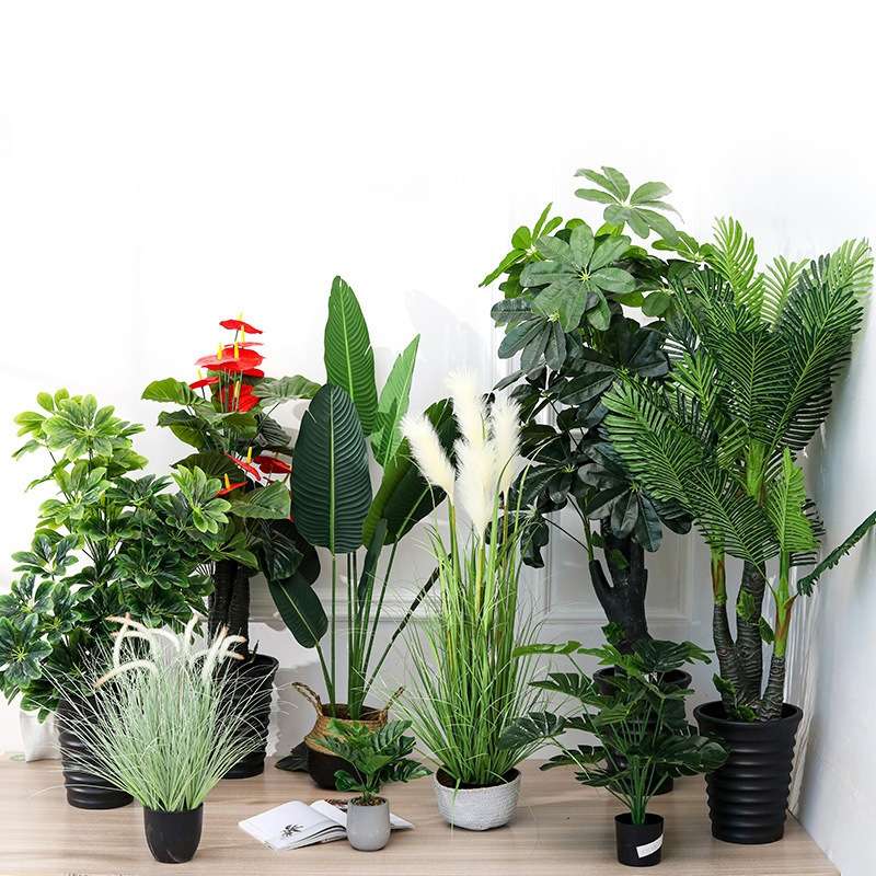 仿真树植物大型旅人蕉盆景室内家居装饰摆件天堂鸟假树绿植盆栽图片